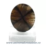 Cabochon chiastolit Cabochon chiastolit