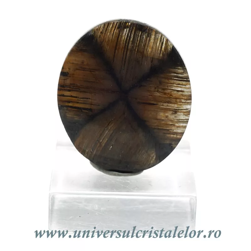 Cabochon chiastolit Cabochon chiastolit