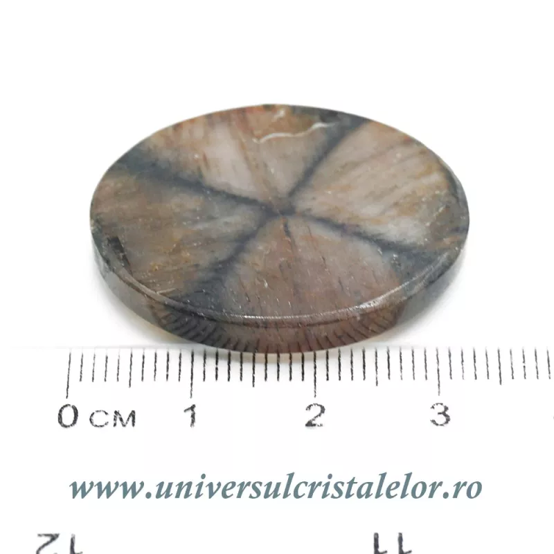 Cabochon chiastolit Cabochon chiastolit