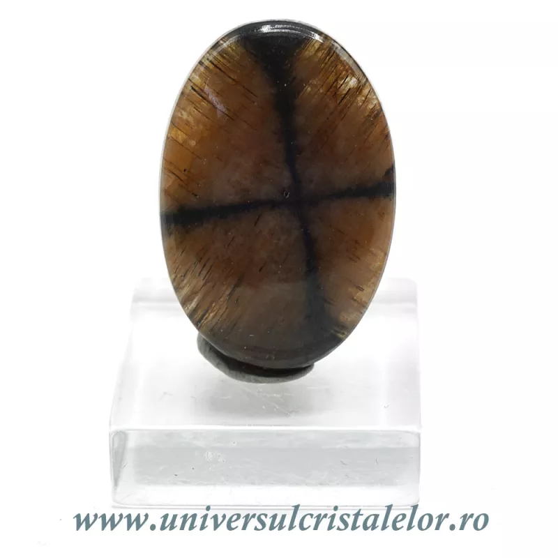 Cabochon chiastolit Cabochon chiastolit