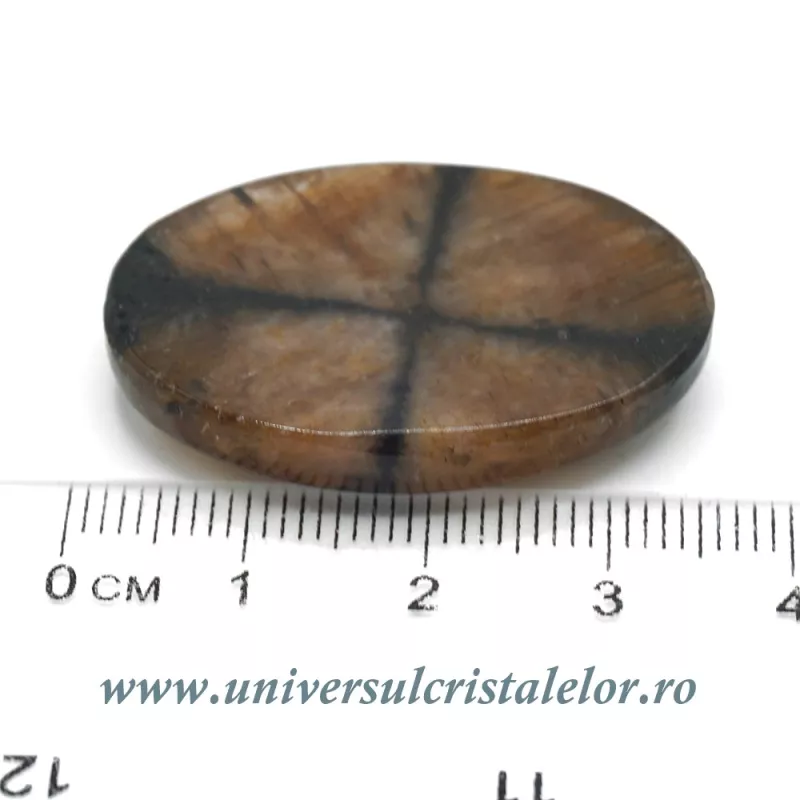 Cabochon chiastolit Cabochon chiastolit
