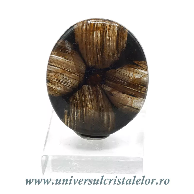Cabochon chiastolit Cabochon chiastolit