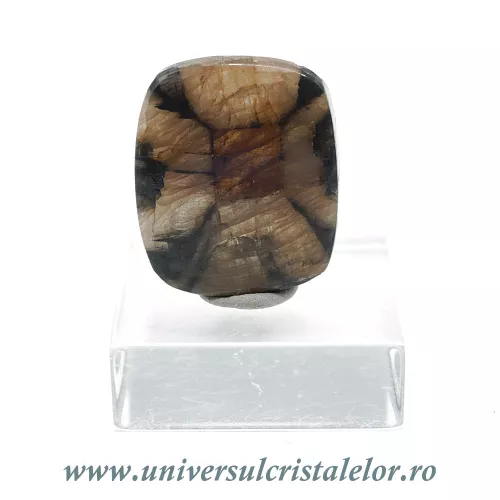 Cabochon chiastolit Cabochon chiastolit