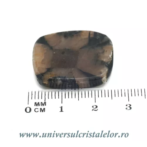 Cabochon chiastolit Cabochon chiastolit