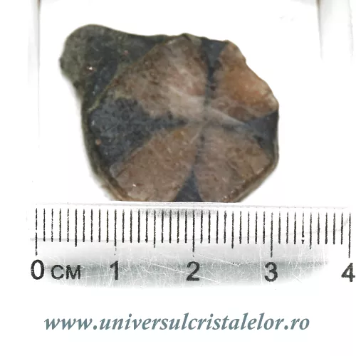 Chiastolit Chiastolit