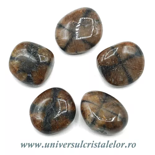 Chiastolit piatra rulata Chiastolit piatra rulata