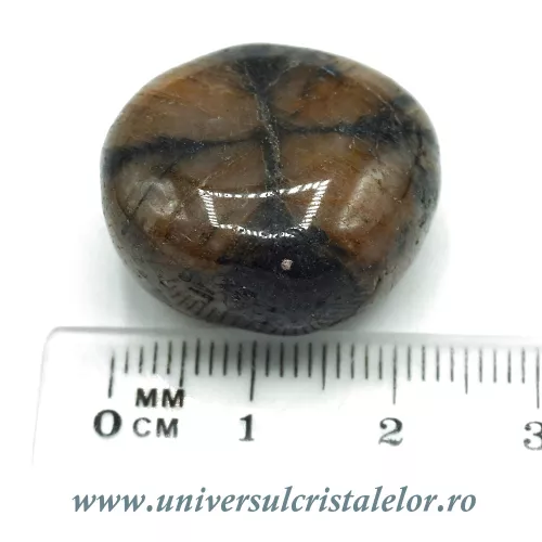 Chiastolit piatra rulata Chiastolit piatra rulata