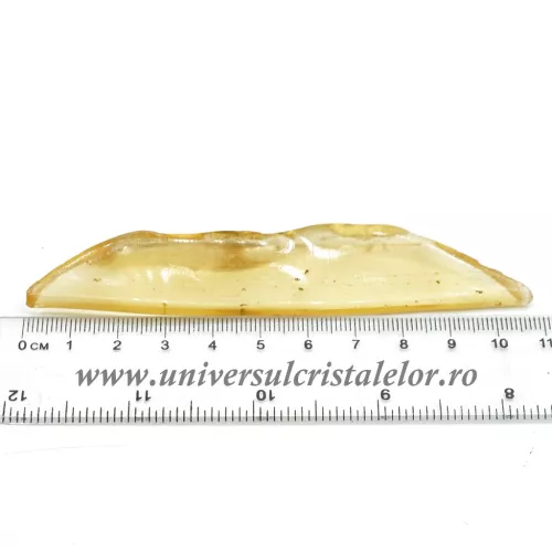 Copal (Chihlimbar tanar)