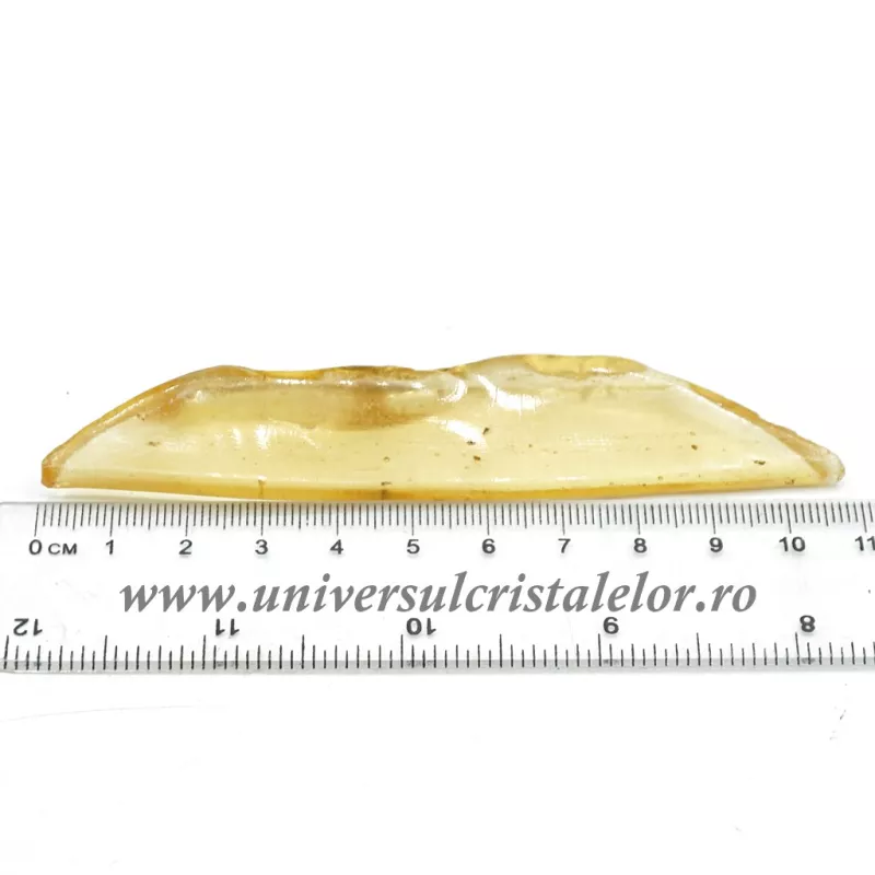 Copal (Chihlimbar tanar)