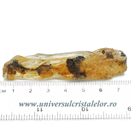 Copal (Chihlimbar tanar) Copal (Chihlimbar tanar)