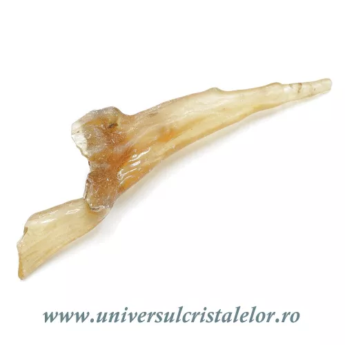 Copal cu insecte Copal cu insecte