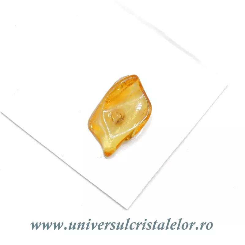 Chihlimbar cu insecte Chihlimbar cu insecte