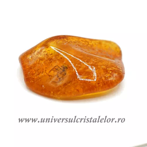 Chihlimbar cu insecte