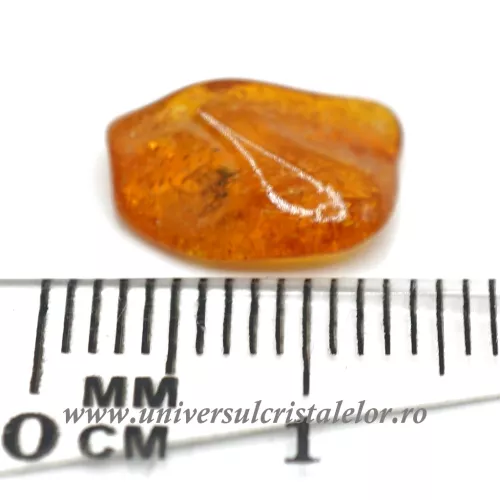 Chihlimbar cu insecte