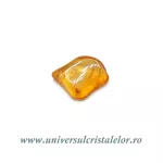 Chihlimbar cu insecte Chihlimbar cu insecte