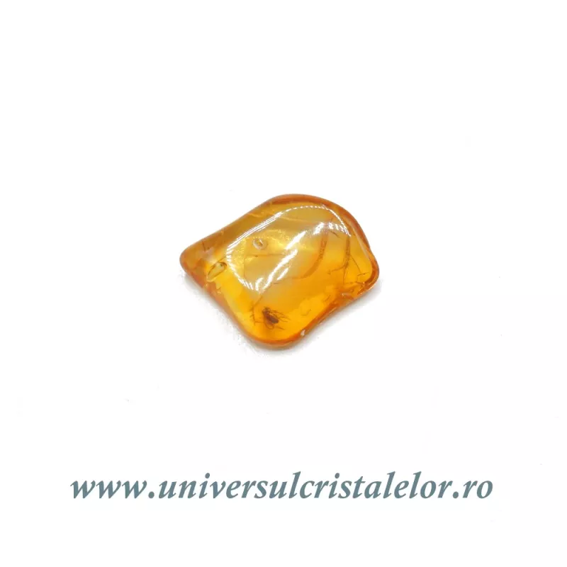 Chihlimbar cu insecte Chihlimbar cu insecte