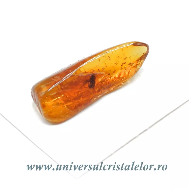 Chihlimbar cu insecte Chihlimbar cu insecte