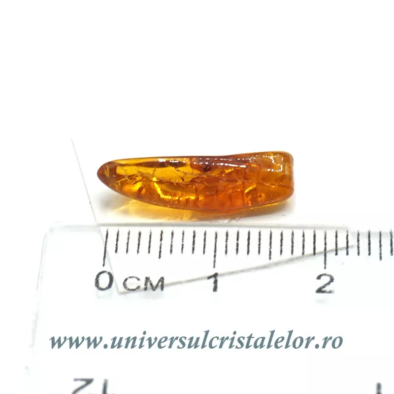Chihlimbar cu insecte Chihlimbar cu insecte
