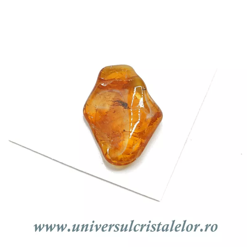 Chihlimbar cu insecte Chihlimbar cu insecte