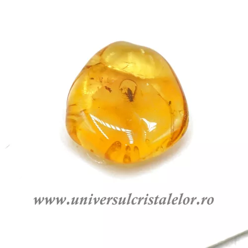 Chihlimbar cu insecte