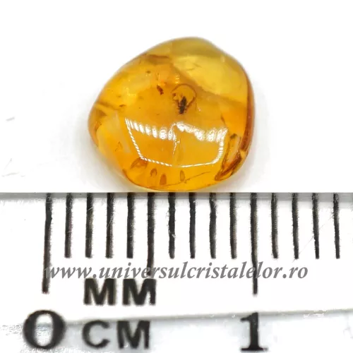 Chihlimbar cu insecte