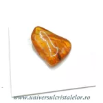 Chihlimbar cu insecte Chihlimbar cu insecte