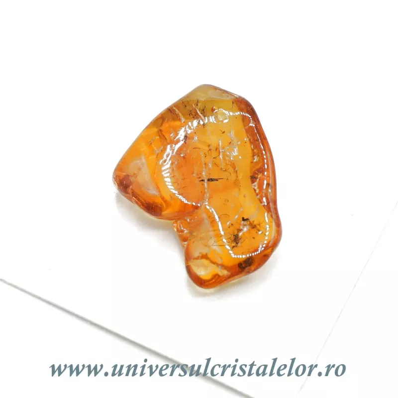 Chihlimbar cu insecte Chihlimbar cu insecte