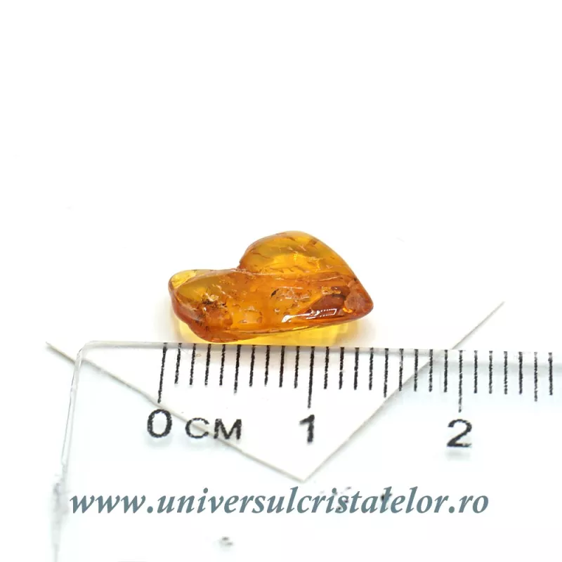Chihlimbar cu insecte Chihlimbar cu insecte