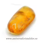 Chihlimbar cu insecte