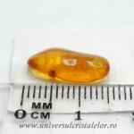 Chihlimbar cu insecte