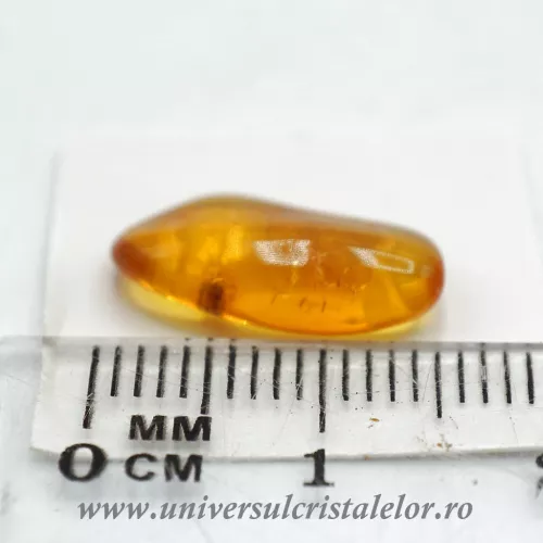 Chihlimbar cu insecte