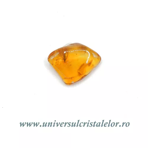 Chihlimbar cu insecte Chihlimbar cu insecte