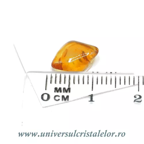 Chihlimbar cu insecte Chihlimbar cu insecte