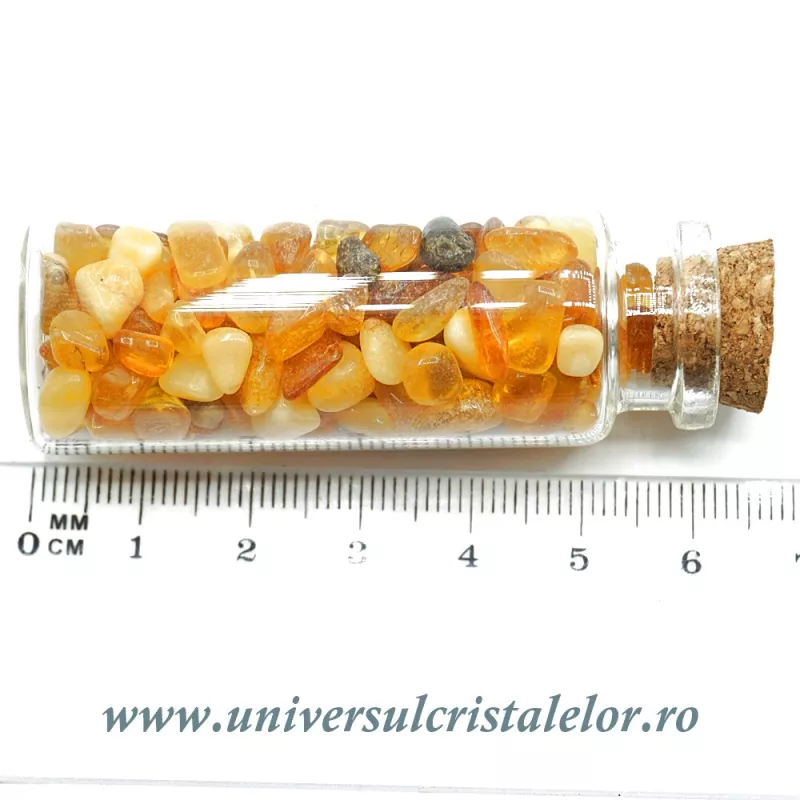 Sticluta chihlimbar Sticluta chihlimbar