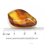 Chihlimbar Chihlimbar