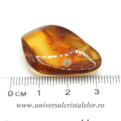 Chihlimbar Chihlimbar