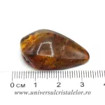 Chihlimbar Chihlimbar