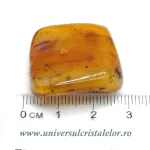 Chihlimbar Chihlimbar