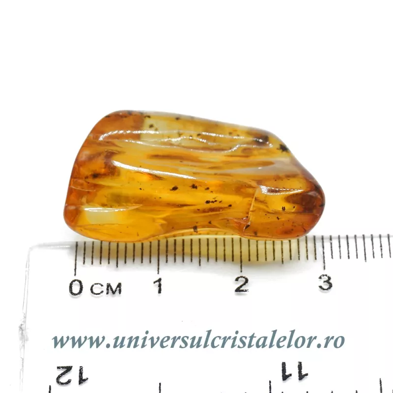 Chihlimbar Chihlimbar