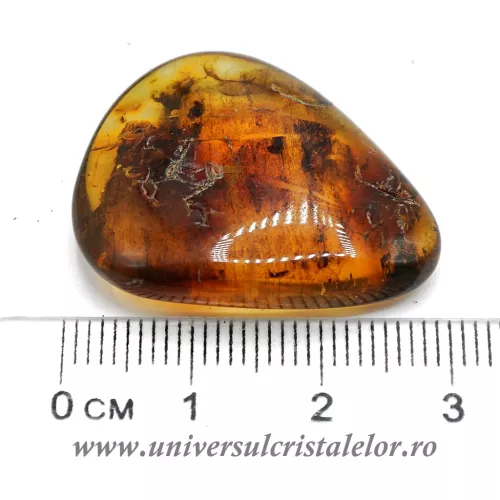 Chihlimbar Chihlimbar