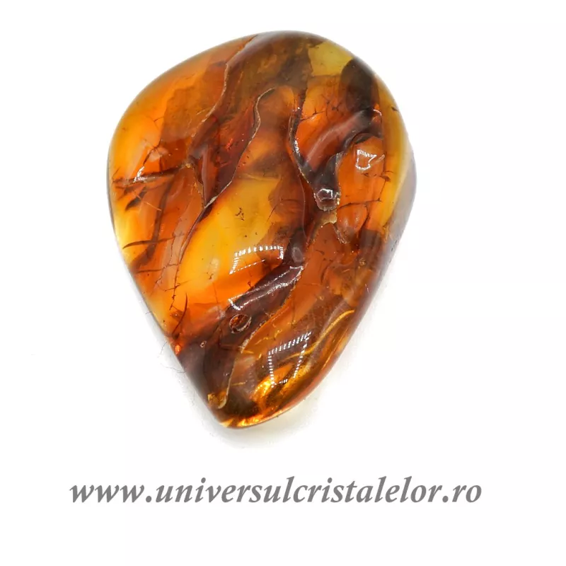 Chihlimbar polisat Chihlimbar polisat