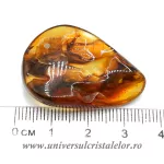 Chihlimbar polisat Chihlimbar polisat