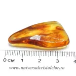 Chihlimbar Chihlimbar