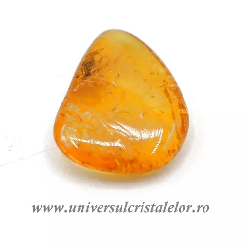 Chihlimbar cu insecte