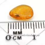 Chihlimbar cu insecte