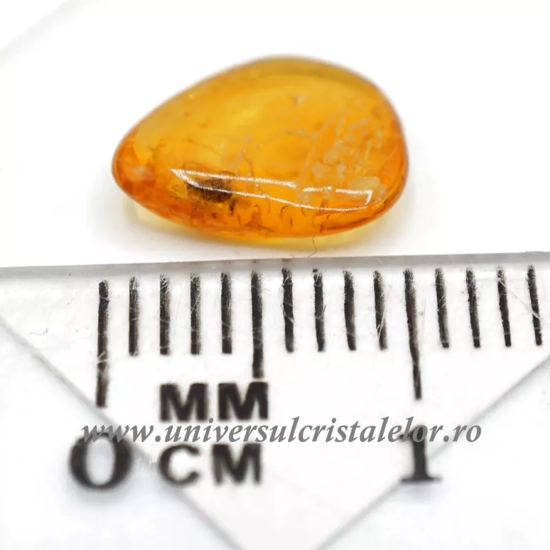 Chihlimbar cu insecte