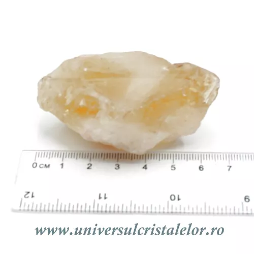 Citrin brut m2 Citrin brut m2