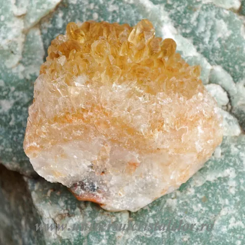 Citrin cluster unicat m25