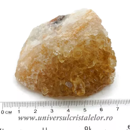 Citrin cluster unicat m25