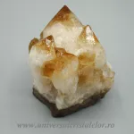 Citrin cluster Citrin cluster